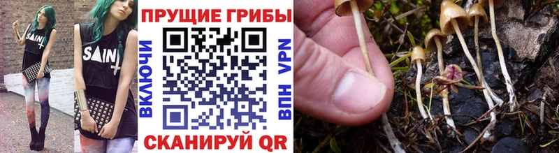 Галлюциногенные грибы прущие грибы  площадка наркотические препараты  Ухта 